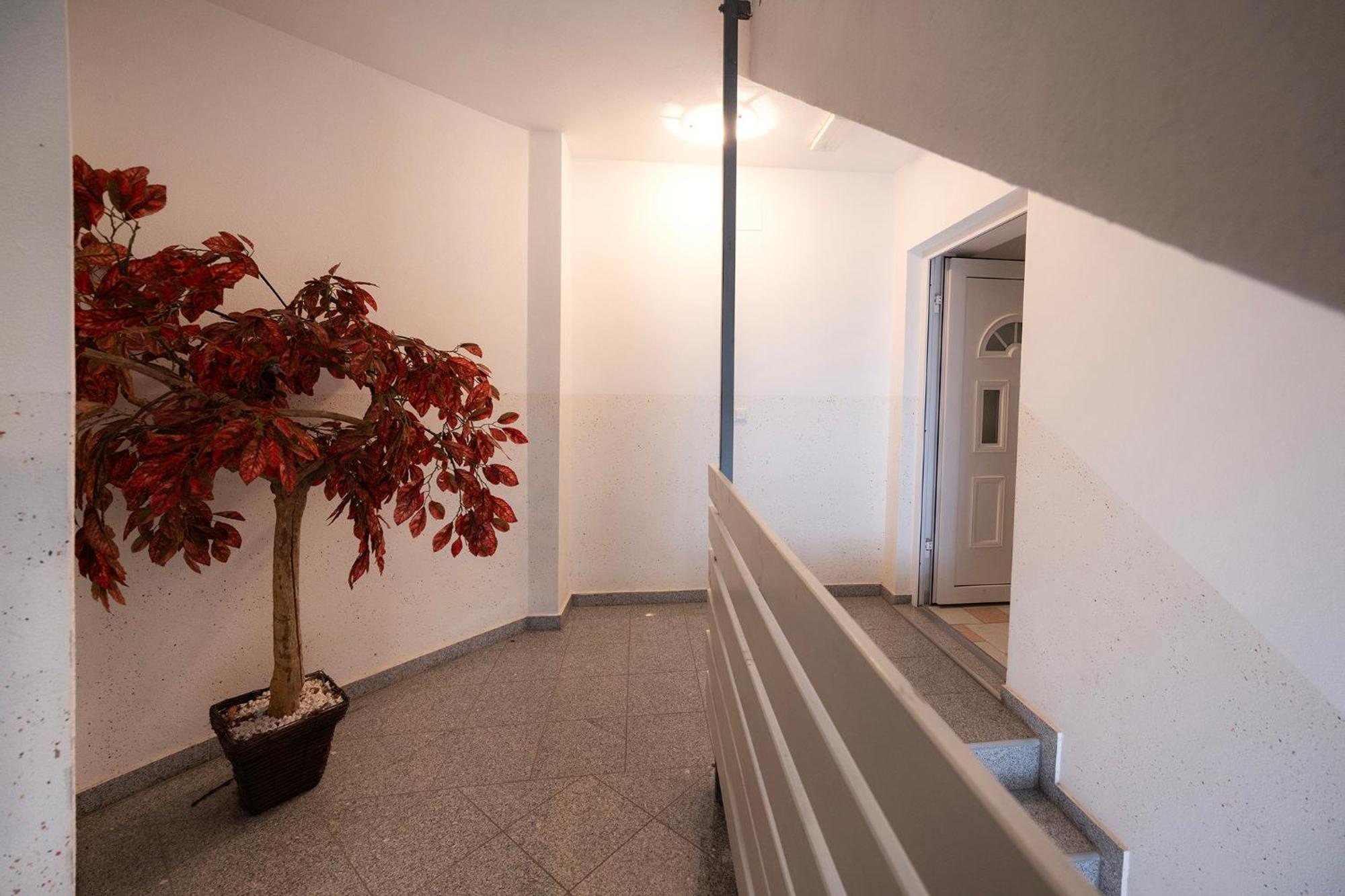 Apartment Grom Ribno